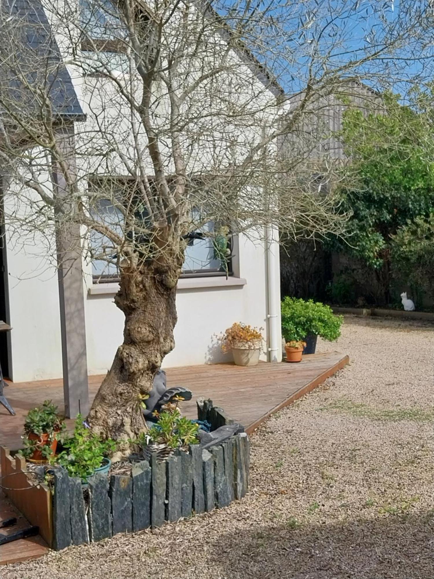 Un Ptit Coin De Paradis Chez Jf Et Daisy A Plouescat Extérieur photo